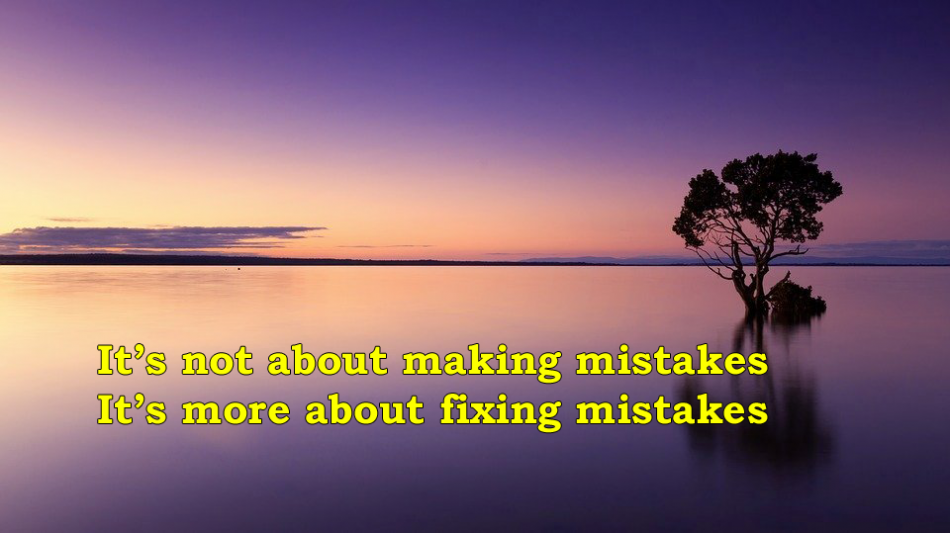 Everybody is human and makes mistakes. How you handle mistakes reveal your character. It's not about making mistakes. It's about fixing mistakes.